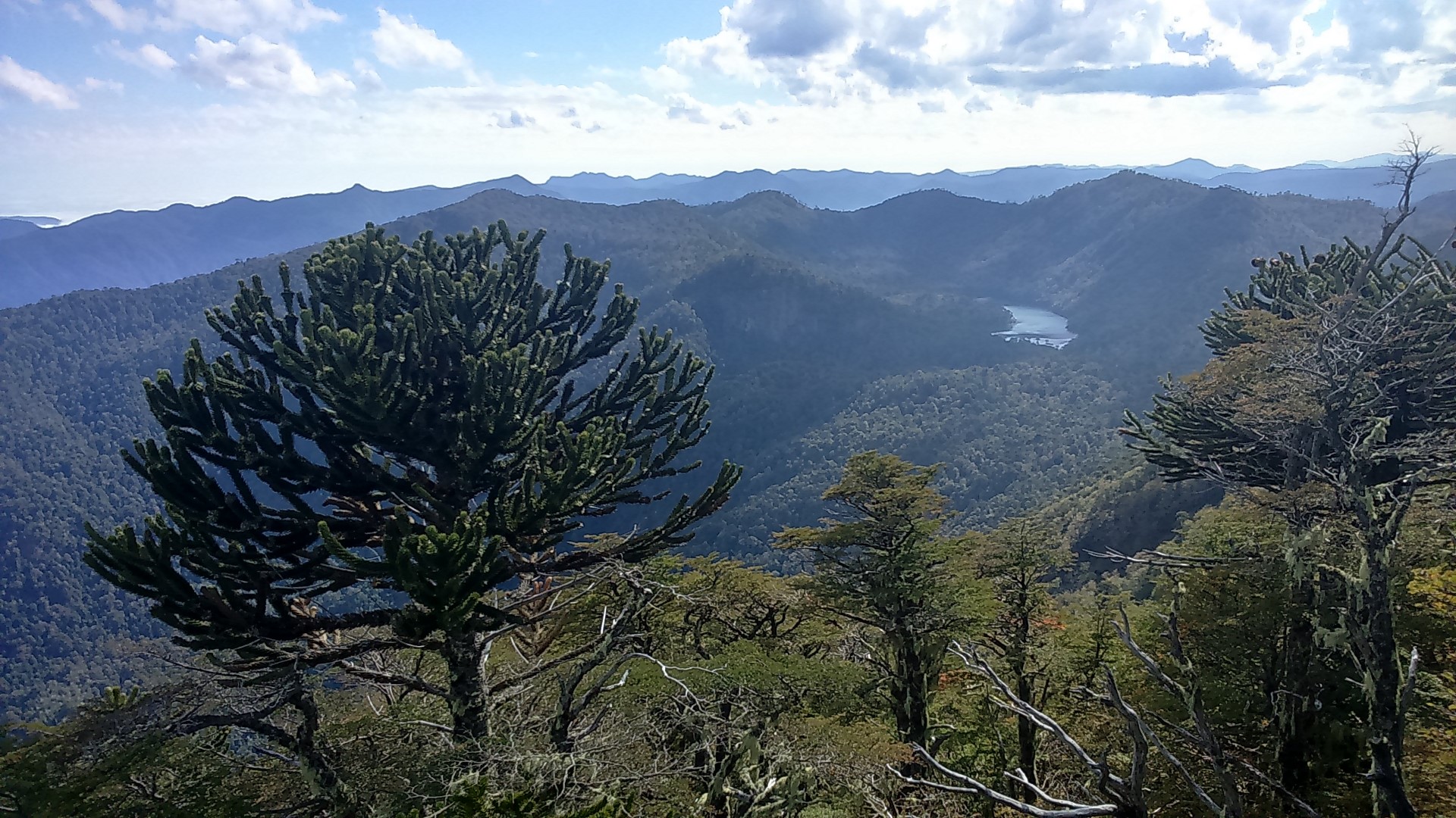 Parque Nacional Huerquehue (San Sebastián)