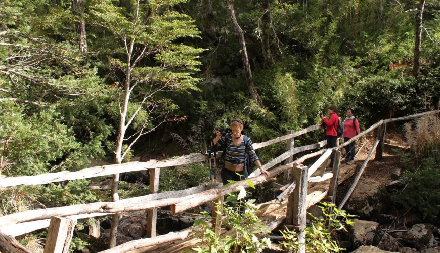 Más que un tour, Alturas Andinas es una EXPERIENCIA GUIADA